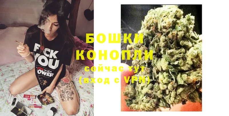 Бошки Шишки SATIVA & INDICA  ОМГ ОМГ зеркало  Арсеньев  купить наркотики цена 